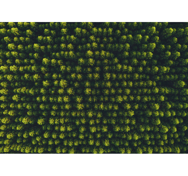 Tapisserie nature feuillage verdoyant - TenStickers