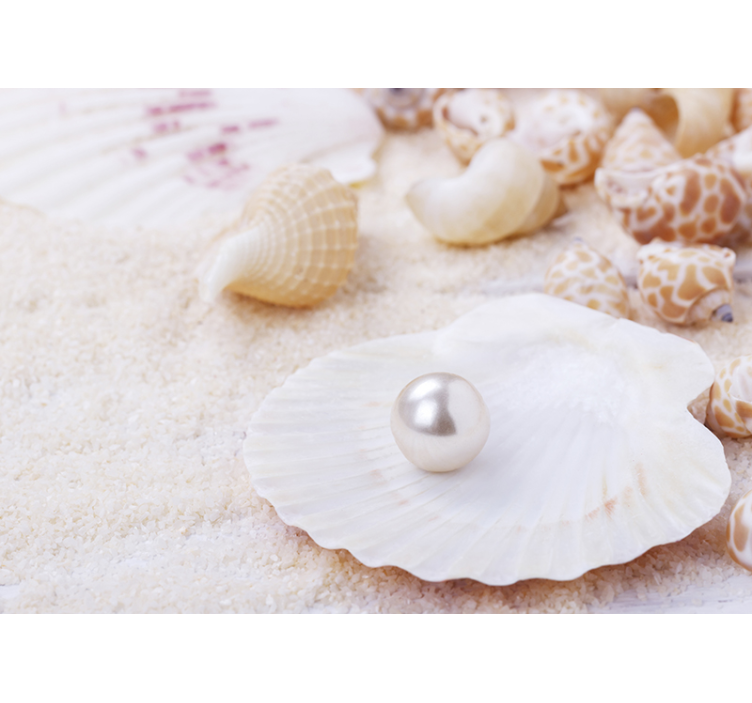  photo coquille et perle de mer - TenStickers