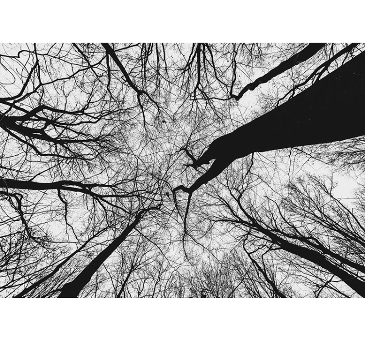 Tapisserie arbre silhouettes de branches entrelacées - TenStickers