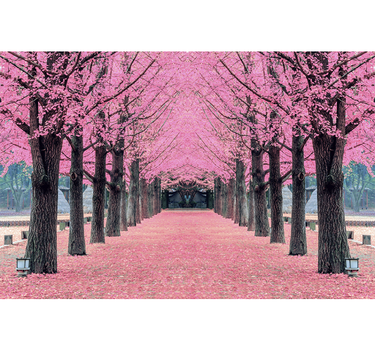 Tapisserie fleur chemin de cerisiers en fleurs - TenStickers