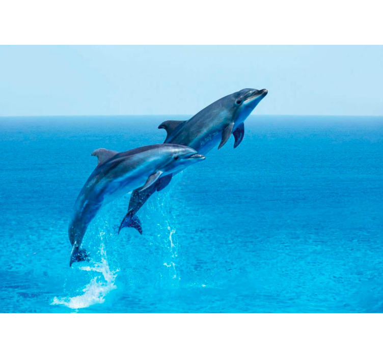 Tapisserie animaux dauphins sautant joyeusement - TenStickers