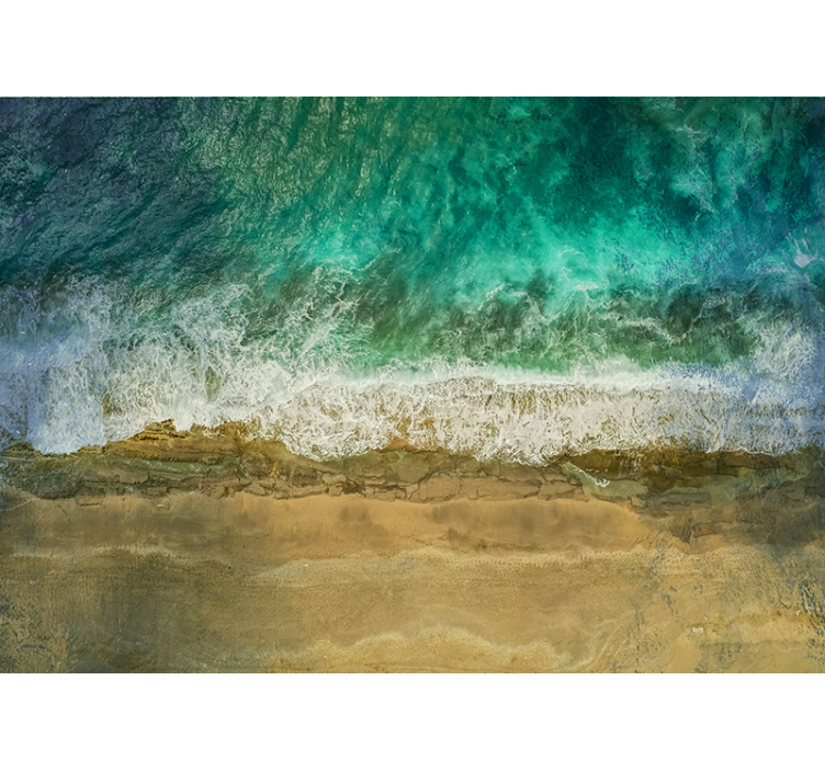 Tapisserie nature plantes côtières en vitrine - TenStickers