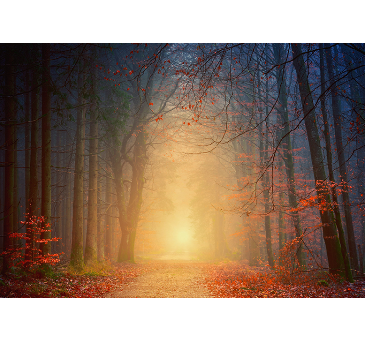 Tapisserie forêt arbres d'automne enveloppés de brume - TenStickers
