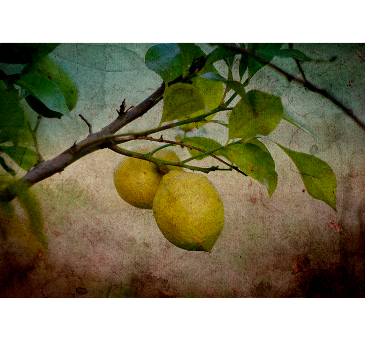 Tapisserie nature branche de citron détail - TenStickers