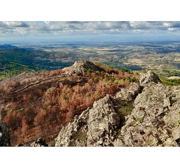 Tapisserie paysage vue sur le terrain montagneux - TenStickers