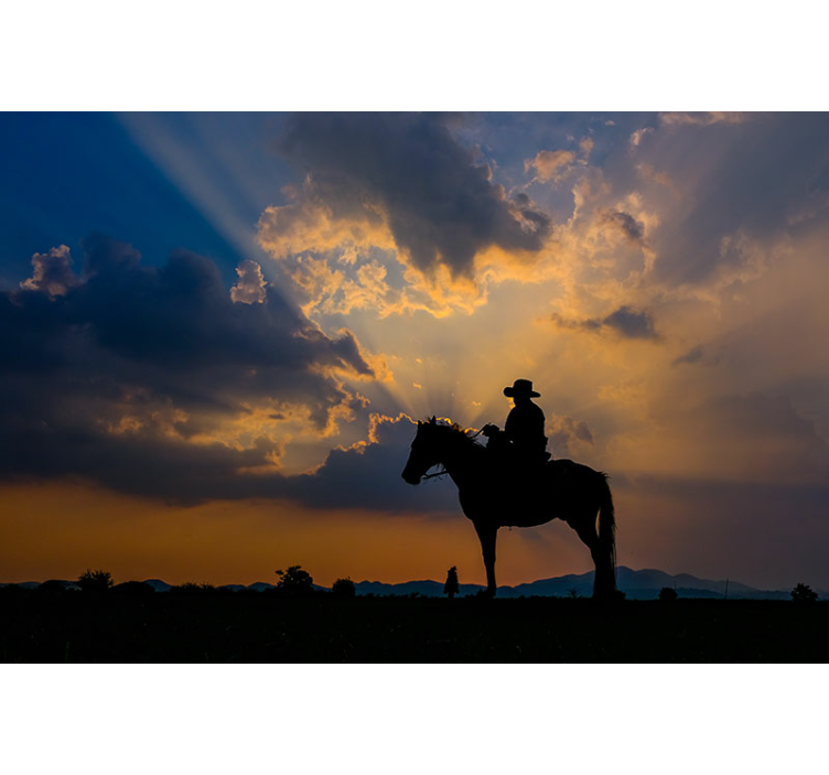 Tapisserie animaux cavalier sur monture - TenStickers