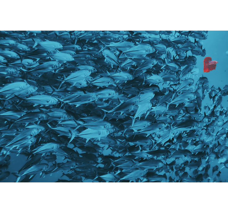 s Trompe l Oeil s photo poisson dans l'océan - TenStickers