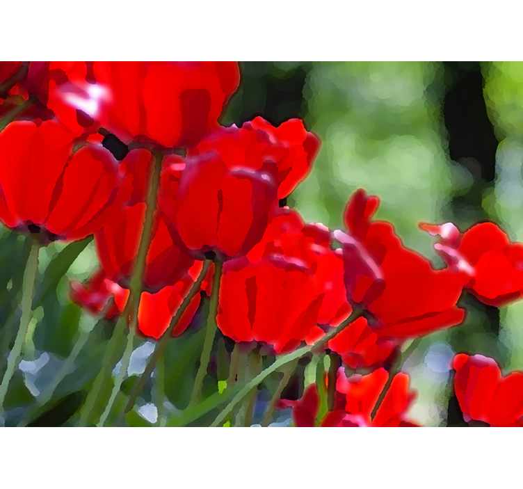 Tapisserie coquelicots fleurs rouges vibrantes - TenStickers