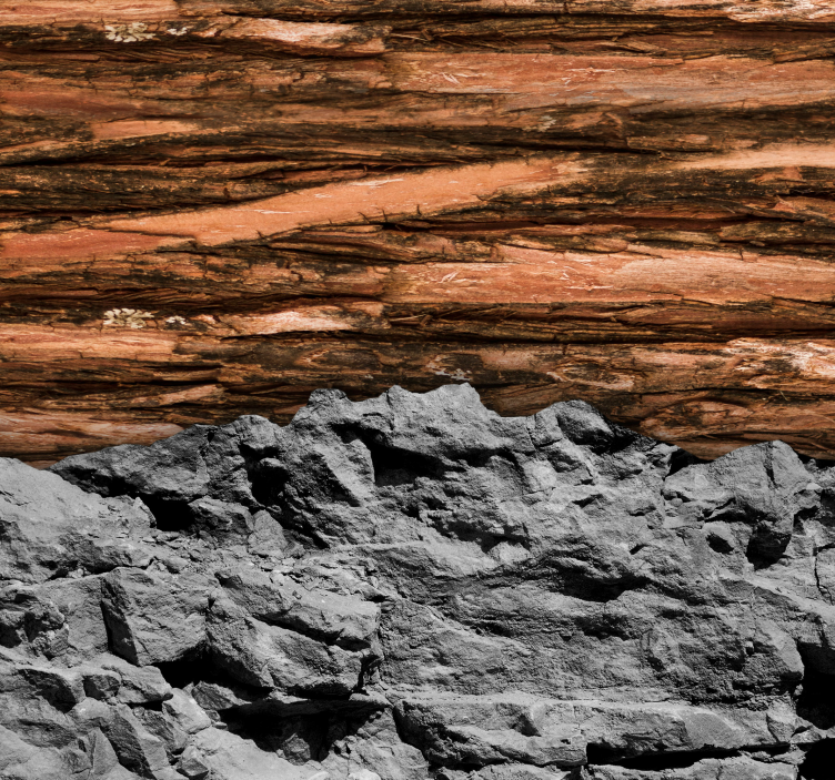 Tapisserie murale salon bois et pierre - TenStickers