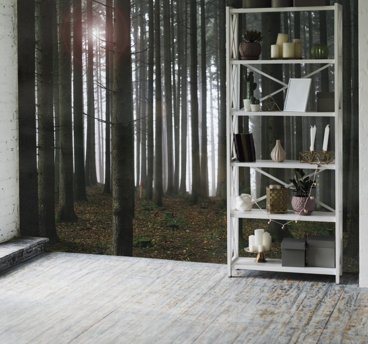 Papier peint paysage forestier - TenStickers