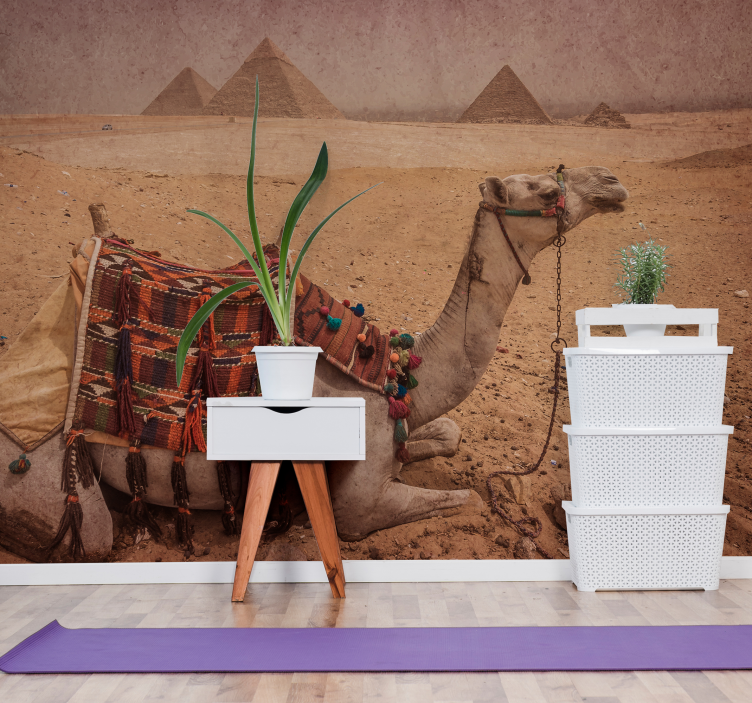 Papier peint mural desert Chameau dormant  - TenStickers