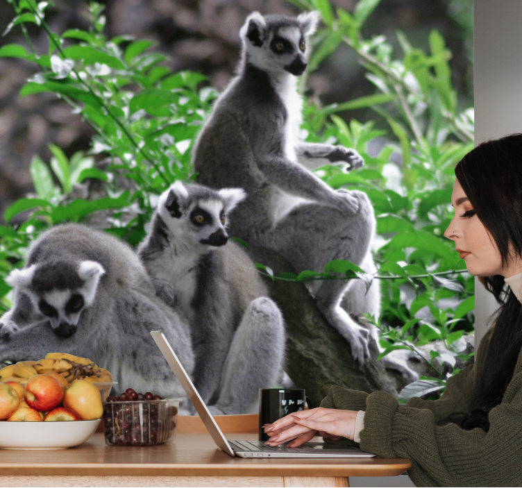 Papier peint mural Afrique Lémuriens sauvages madagascar - TenStickers