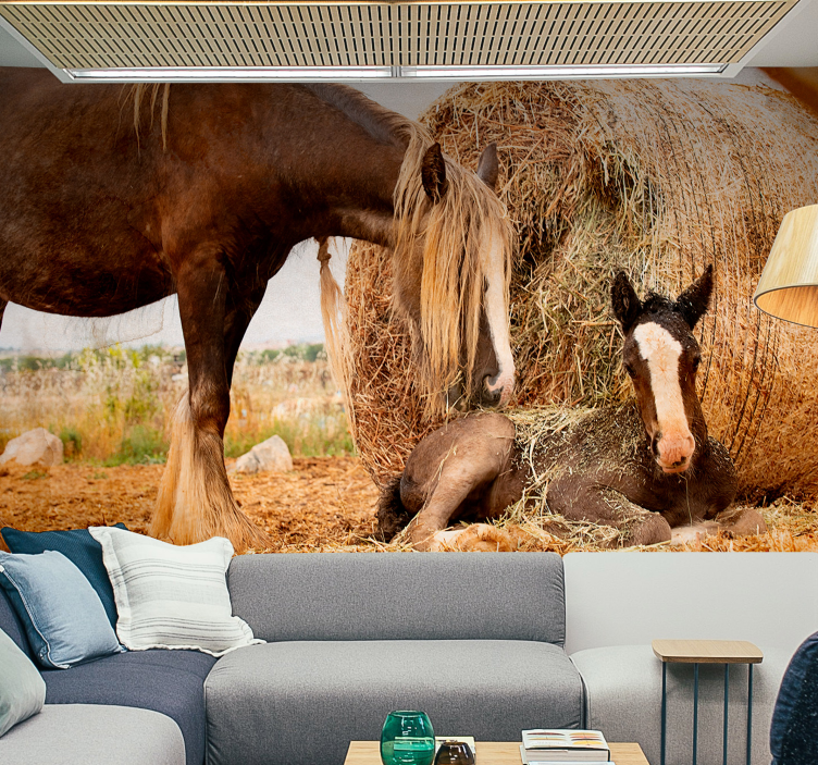 Papier peint nature Jeune cheval avec wheet - TenStickers