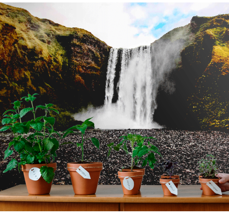 Tapisserie cascade vue de chute d'eau majestueuse - TenStickers