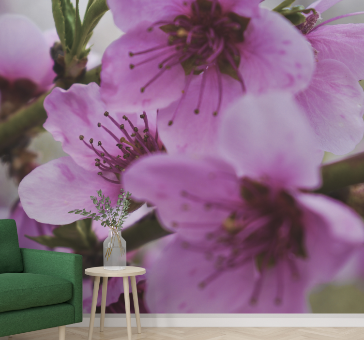 Tapisserie coquelicots fleurs roses éclatantes - TenStickers