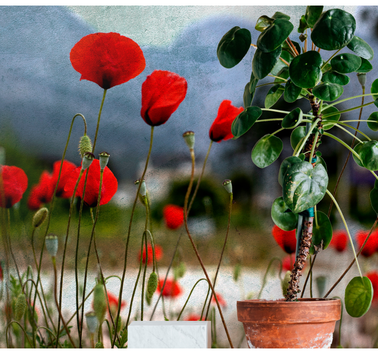 Tapisserie coquelicots fleurs vibrantes - TenStickers
