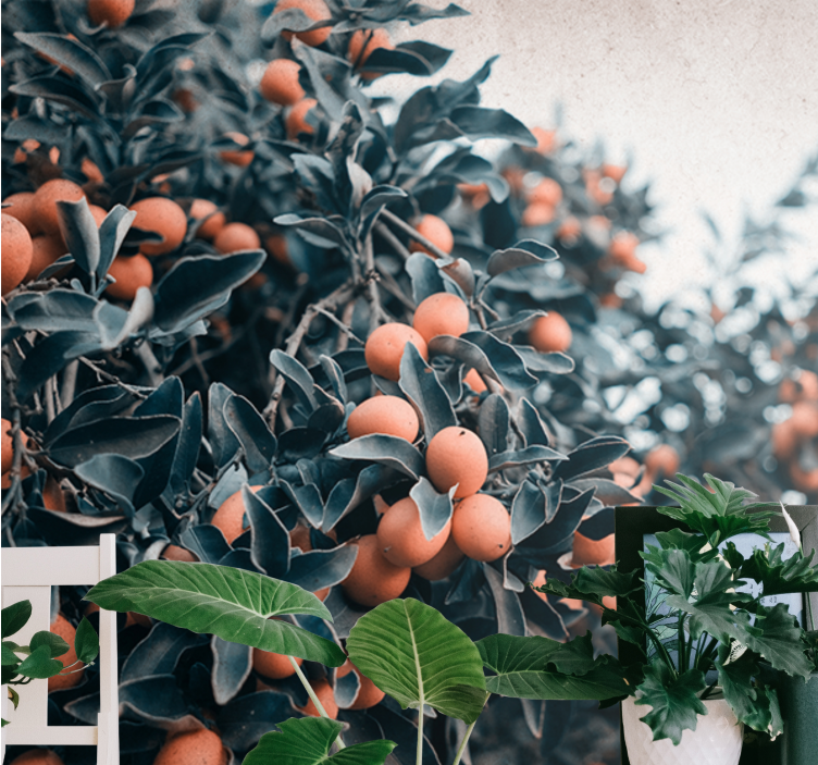 Tapisserie fleur branche de fruits agrumes - TenStickers