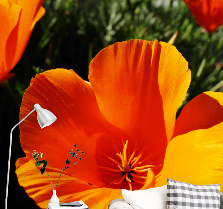 Tapisserie fleur gros plan sur fleur orange - TenStickers