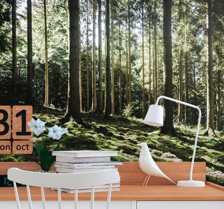 Tapisserie forêt scène de forêt paisible - TenStickers