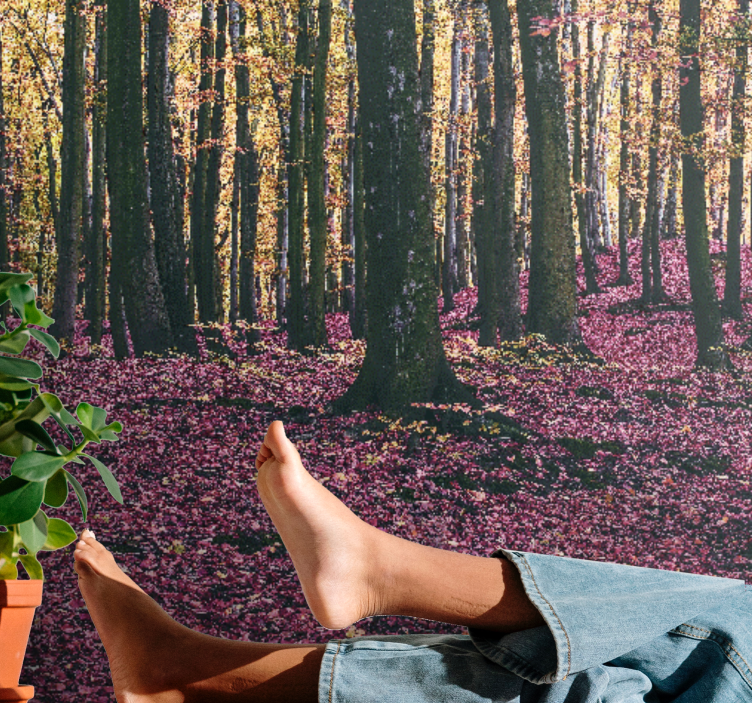 Tapisserie nature scène de forêt sereine - TenStickers