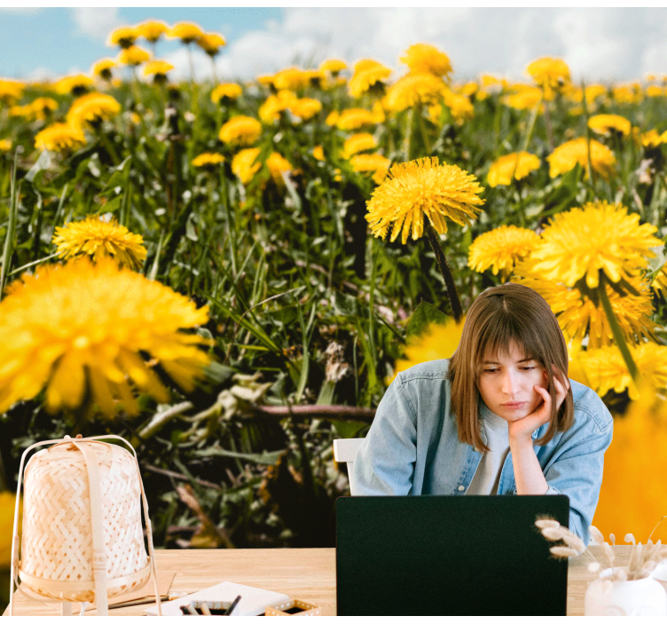 Tapisserie pissenlit vue champ de pissenlits - TenStickers