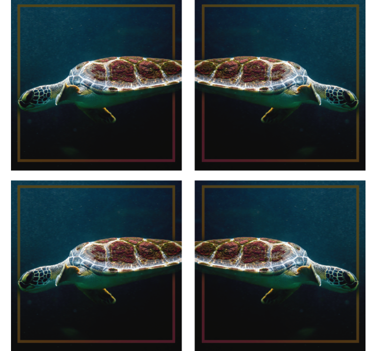 Dessous de verre moderne image de tortue de mer élégante - TenStickers