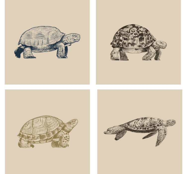 Dessous de verre vintage illustrations de tortue rétro - TenStickers
