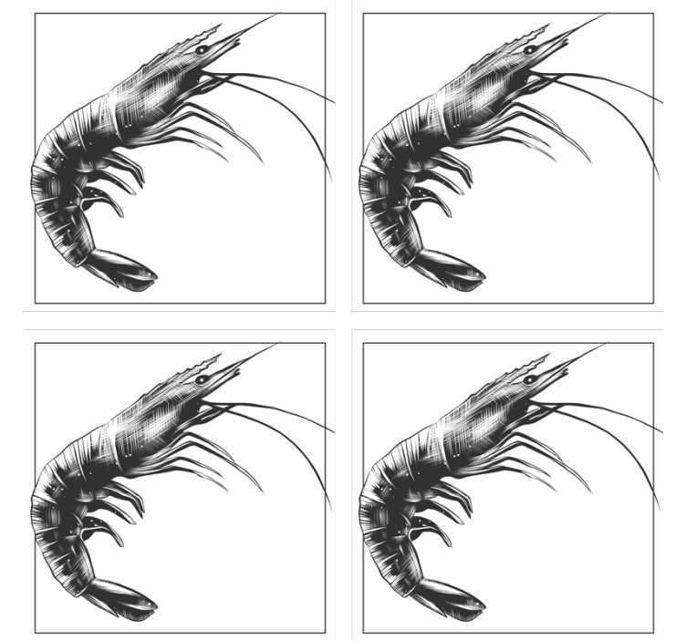 Dessous de verre moderne illustration de crevette stylisée - TenStickers