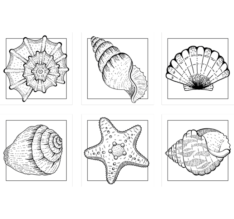 Dessous de verre motifs de coquillages complexes - TenStickers