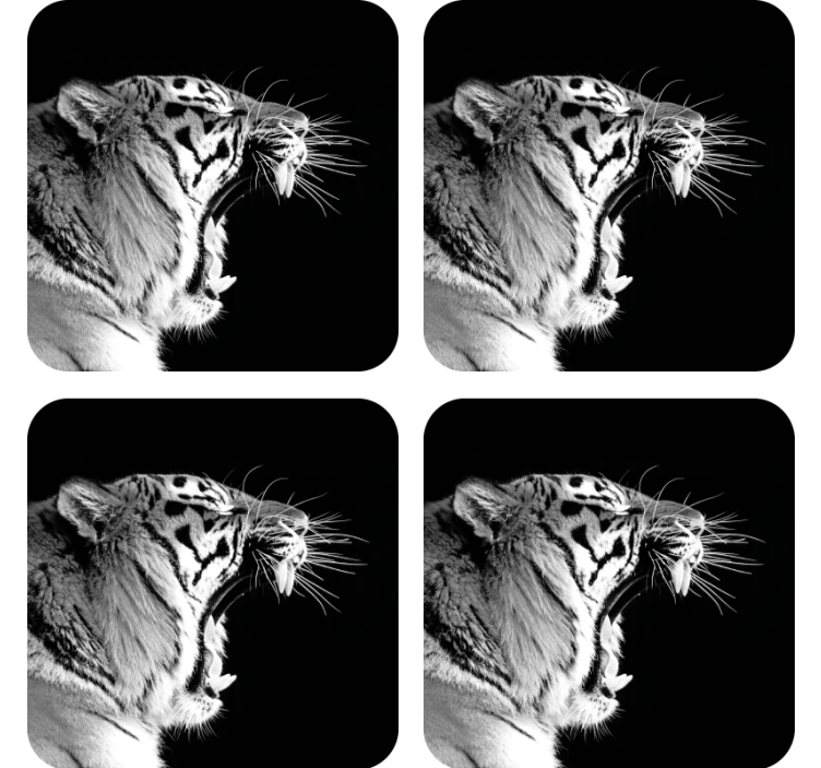 Dessous de verre geek profil de tigre majestueux - TenStickers