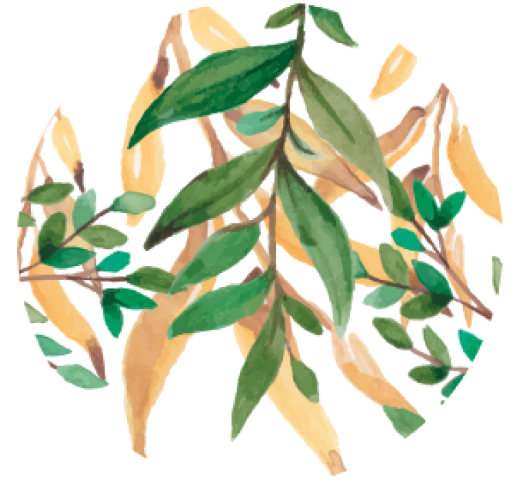 Dessous de verre bière feuillage vert botanique - TenStickers