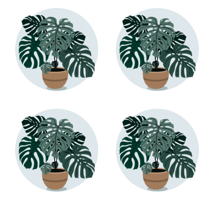 Dessous de verre moderne illustration de plante monstera - TenStickers
