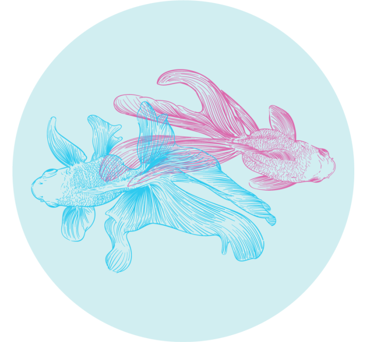 Dessous de verre geek illustrations de poissons bicolores - TenStickers