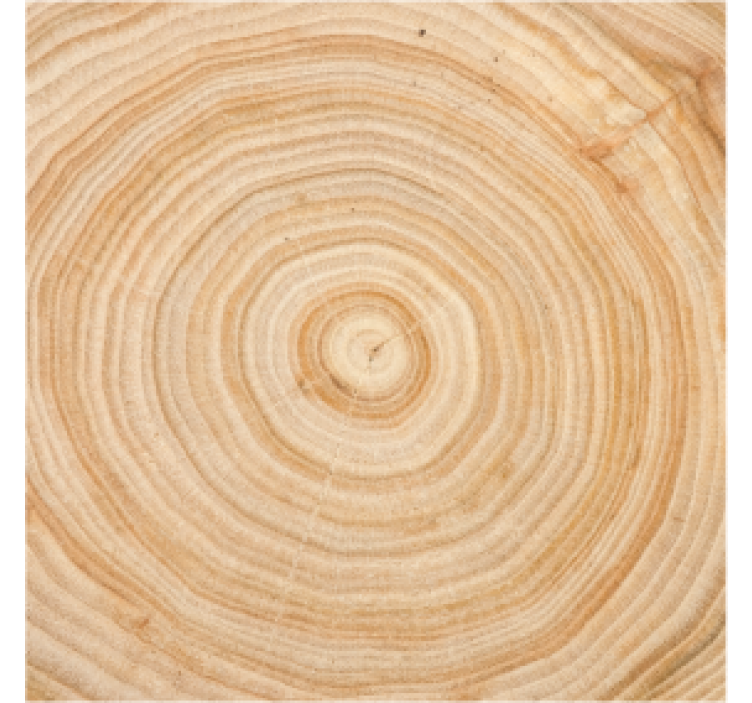 Dessous de verre cercle effet bois - TenStickers