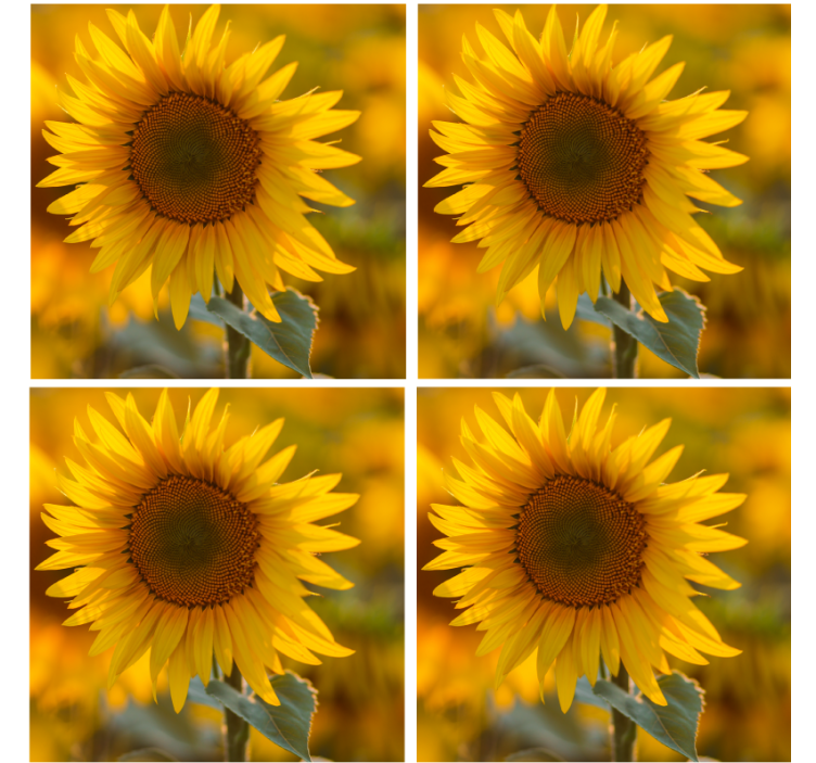 Dessous de verre moderne arrangement de tournesols vibrant - TenStickers