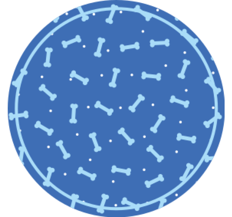 Dessous de verre motif os en cercle - TenStickers