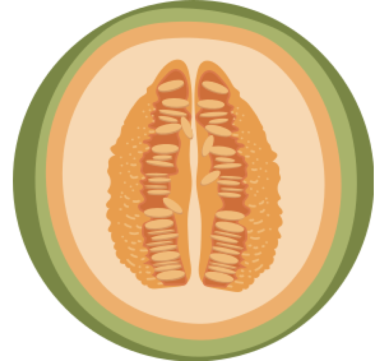 Dessous de verre geek motifs de tranches de fruits - TenStickers