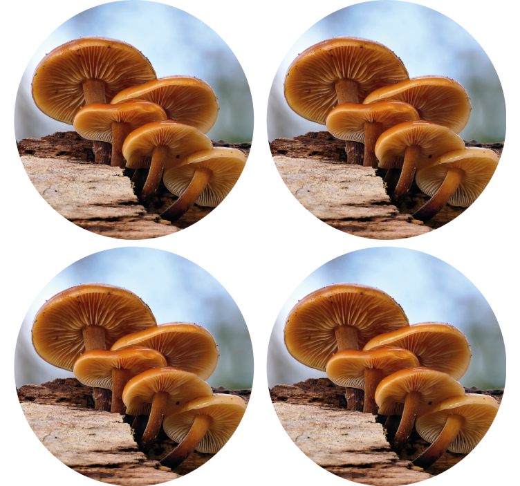 Dessous de verre moderne arrangement de champignons - TenStickers