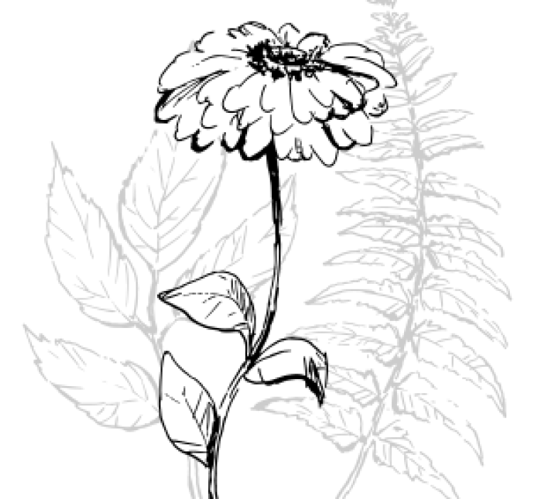 Dessous de verre art linéaire botanique - TenStickers