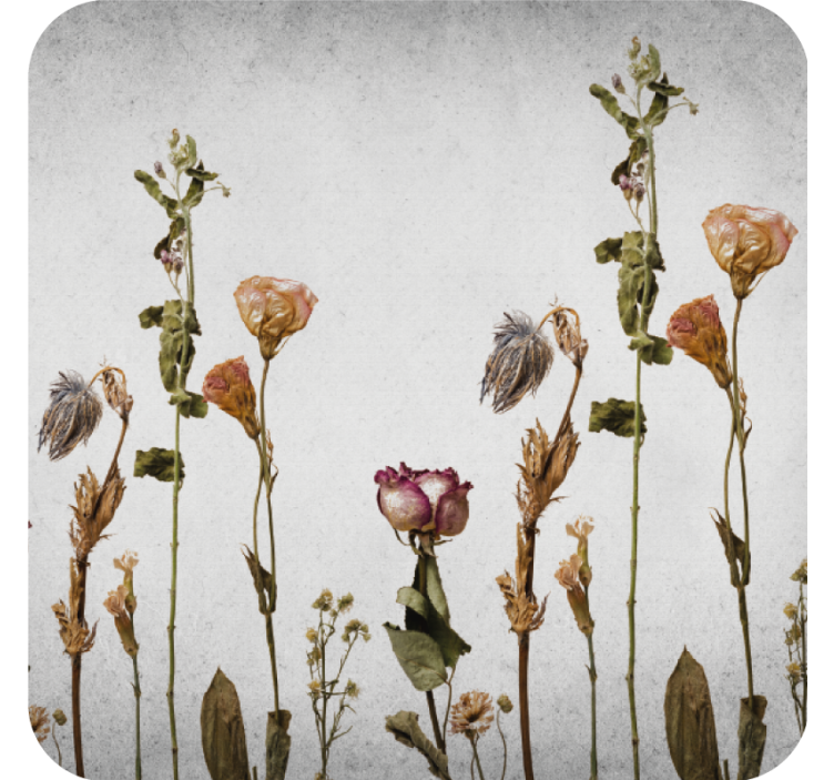 Dessous de verre arrangement floral séché - TenStickers