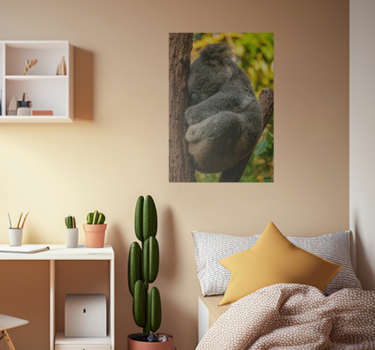 Poster chambre ado koala dormant - TenStickers