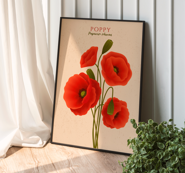Poster fleurs coquelicots - TenStickers