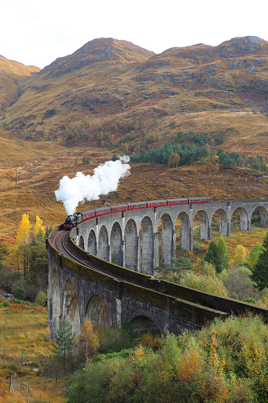 Poster photo réaliste train en mouvement - TenStickers