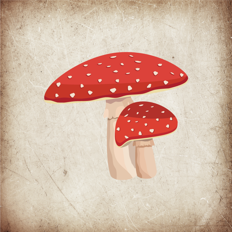 Poster cuisine illustration de champignon amanite - TenStickers