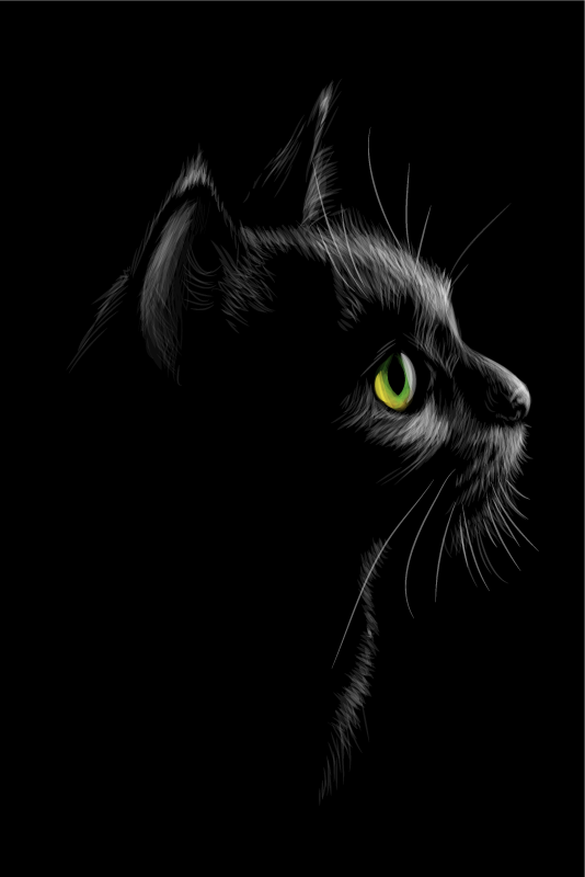 Poster salon chats aux yeux verts - TenStickers