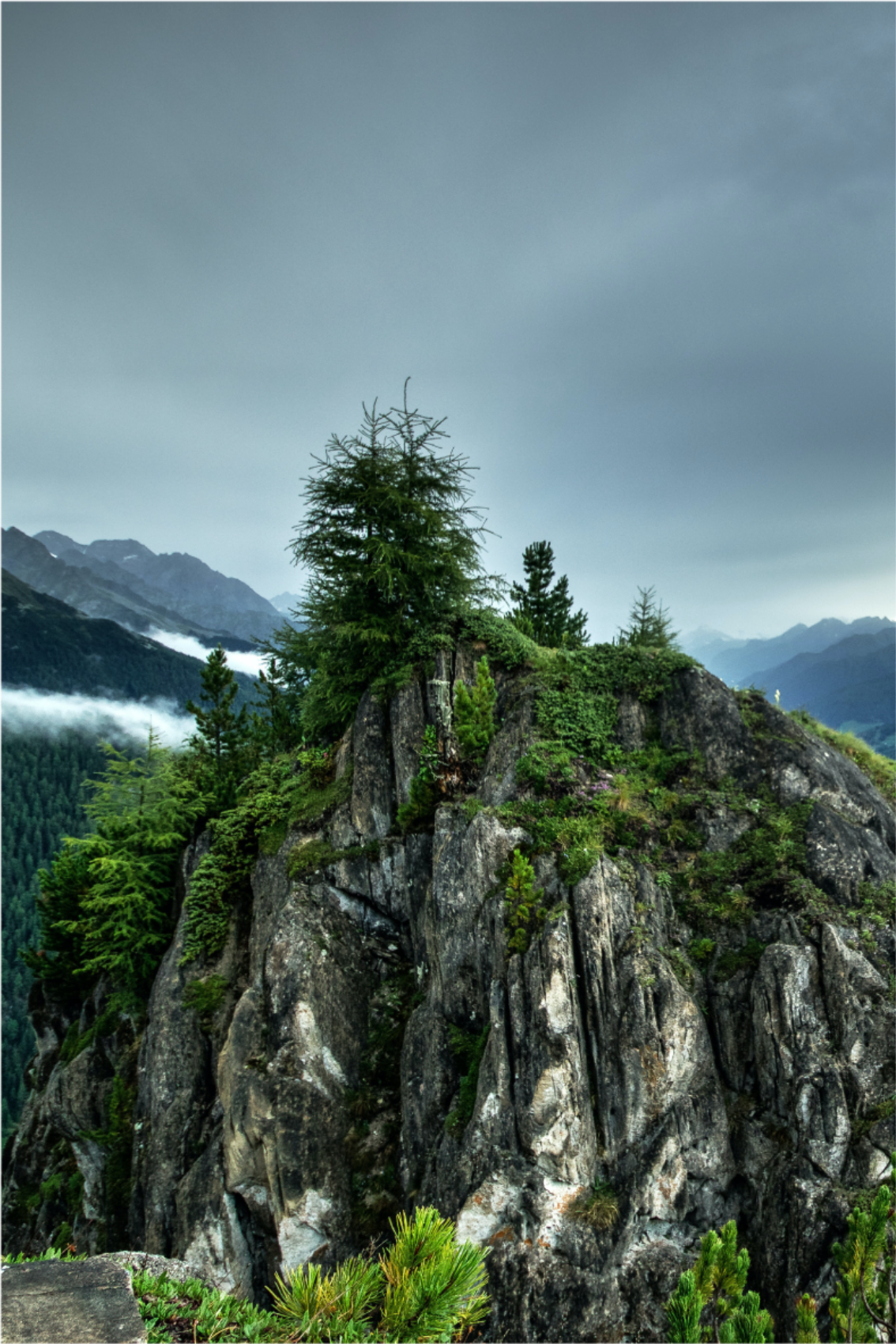 Poster salon roche unique dans la forêt verte - TenStickers