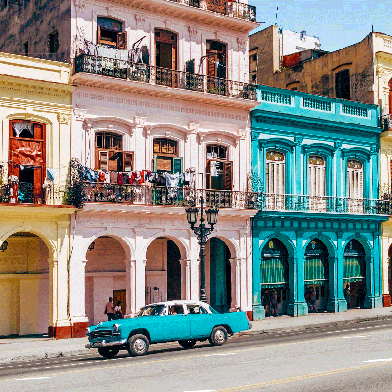 Poster salon design de rue et de voiture rose et bleu - TenStickers