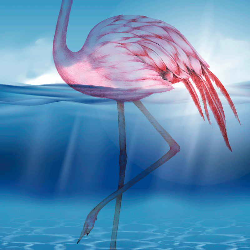 Poster salon design sous-marin flamant rose - TenStickers