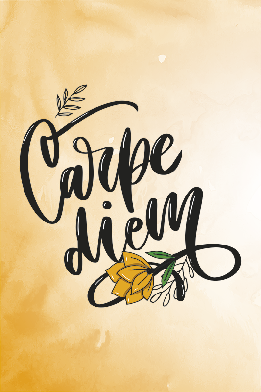 Poster phrases saisissez le jour - TenStickers