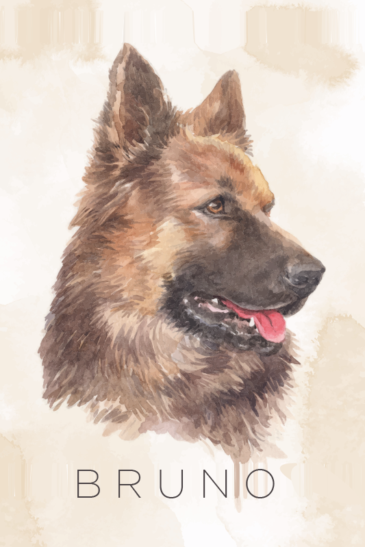 Poster personnalisable portrait de berger allemand - TenStickers